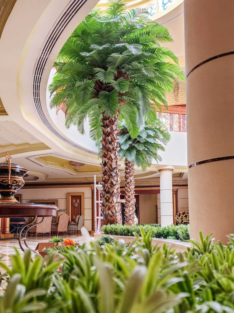 UAE wholesale palm tree