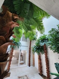 UAE wholesale palm tree installation for hotel entrance